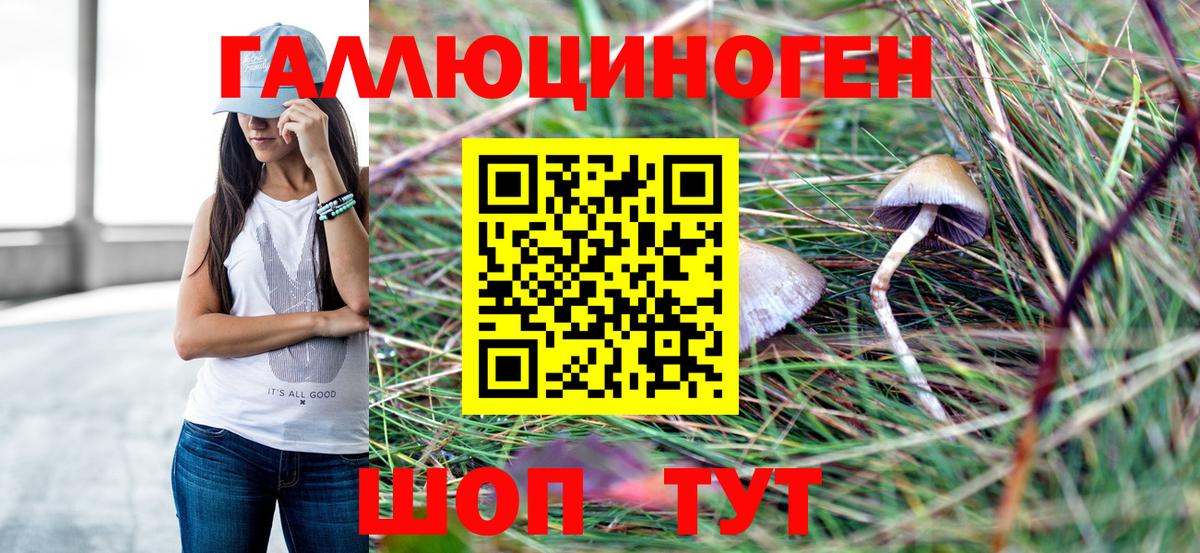 Псилоцибиновые грибы MAGIC MUSHROOMS  купить   Вход с VPN  Буйнакск  Псилоцибиновые грибы мухоморы 