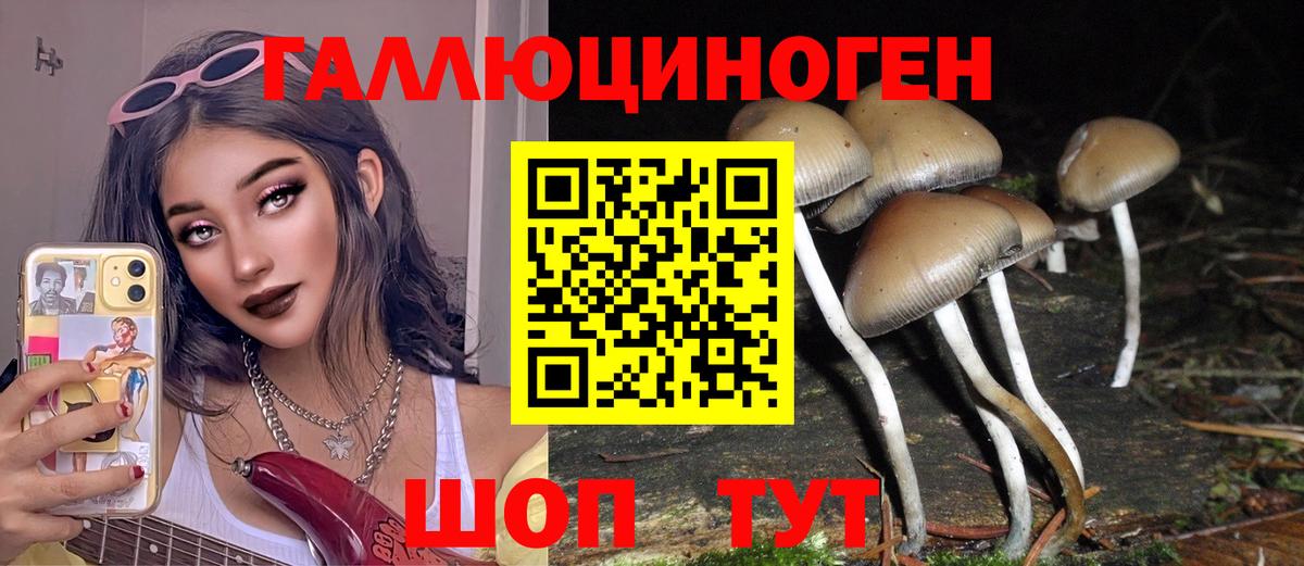 Галлюциногенные грибы мицелий Буйнакск